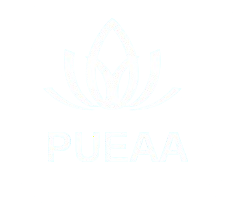 PUEAA Logo